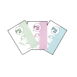 PSI　パブリックヘルスリサーチセンター版　ストレスインベントリー