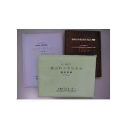K-SCT構成的文章完成法検査